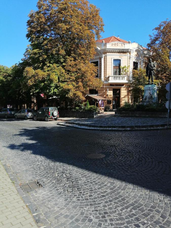 Kisfaludy Vendeghaz -Suemeg- Exterior photo